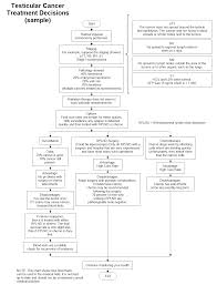 Testicular Cancer Treatment Decisions A Sample Case