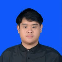 60+ "Steve Levi" profiles