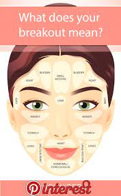 Knowing More About What Your Acne Is Trying To Tell You Venus Harris In 2019 Beauty Skin Skin Tips Skin Care Tip Face Mapping Acne Face Acne Skin Science