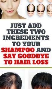 How does hair loss appear? An Average Person Sheds 50 To 100 Hairs Per Day However New Hairs Grow At The Same Time But When This Hair Loss Women Best Hair Loss Shampoo Help Hair Loss