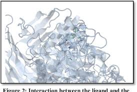Maltase is an enzyme that is found naturally in humans and also in yeasts, bacteria and plants. Molecular Docking Studies Of Deacetylbisacodyl With Intestinal Sucrase Maltase Enzyme Semantic Scholar
