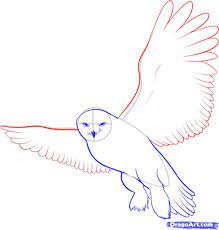 How To Draw A Snowy Owl Step By Step Birds Animals Free Online Drawing Tutorial Added By Dawn February 10 2011 Owls Drawing Drawing Birds Easy Drawings