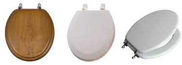 We did not find results for: Aquasource Toilet Seat Aquasource Toilet