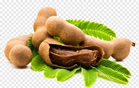 The most common dry dishes material is porcelain & ceramic. Tamarind Tamarind Fruit Chutney Sweet And Sour Seed Dry Fruit Dried Fruit Food Eating Png Pngwing