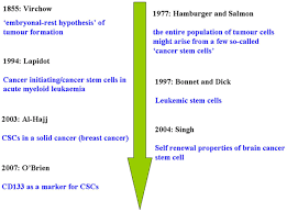 When cells grow old or become damaged, they die, and new cells take their place. Cancer Stem Cells And Hypoxia Inducible Factors Review