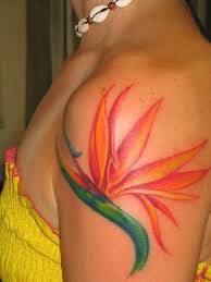 Bird Of Paradise Flower Tattoo Meaning Ideas For Bird Of Paradise Flower Tattoos Bird Of Paradise Tattoo Paradise Tattoo Bird Tattoo Sleeves