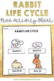 Download This Free Rabbit Life Cycle Activity Along With Many Other Free Teaching Resou Free Teaching Resources Science Teaching Resources Homeschool Programs