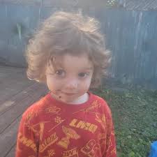 Stuck snow plow in driveway?