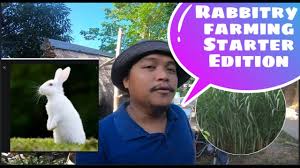 Especially on borneo he is very common and can grow up to four meters high. Slqxxsrga6vz5m