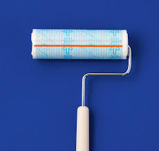 From spanish colocolo (colocolo (cat)), from mapudungun colo colo (a creature in mapuche mythology). Colocolo A Classic Cleaning Product Nitoms Inc