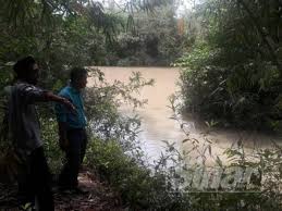 Kg kuala sedaka adalah sebuah kampung yang terletak di yan. Lahirkan Kembar Seekor Buaya Putih