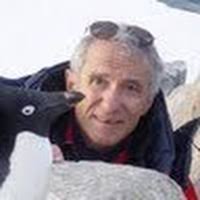 PDF) Detection of avian malaria infections in wild and captive penguins