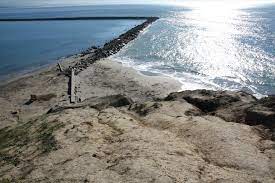 Mavericks is 21+ unless accompanied by a parent, and always dog friendly. Mavericks Beach Half Moon Bay Ca California Beaches