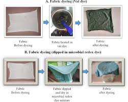 Image result for Indigofera daleoides