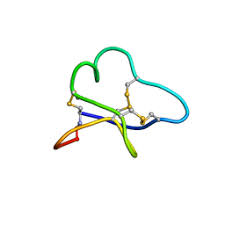 Image result for Chassalia parvifolia