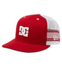 Men S Rob Dyrdek Lux Stripe Hat Adyha00031 Dc Shoes