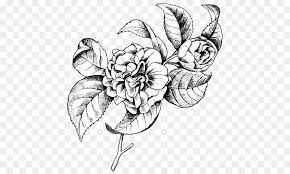 Botanical minimal plants and flowers set. Flower Line Art Png Download 537 537 Free Transparent Drawing Png Download Cleanpng Kisspng