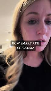 Hail Storm in Iowa: Chicken Rescue Adventure