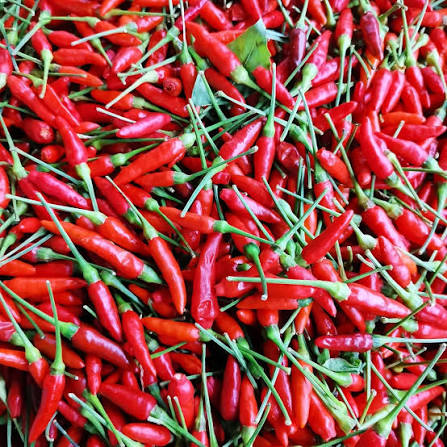 Chilli Whole