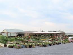 Maybe you would like to learn more about one of these? Leabrook Flowers 2348 Leabrook Rd Lancaster Pa 17601 Usa