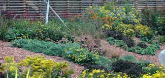 Sie nach sich ziehen in folge dessen ein problem mit ihren gartenschädlingen und nach sich ziehen die gesamtheit versucht, welches ihnen einfällt; Garten Selbst Gestalten Ideen Beispiele Fur Den Traumgarten