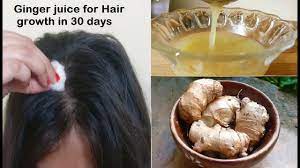 Ginger oil is particularly beneficial in this regard as it stimulates the hair growth. Regrow Hair With Ginger Juice In 30 Days Double Hair Growth Get Long Hair With Ginger Hair Oil Youtube