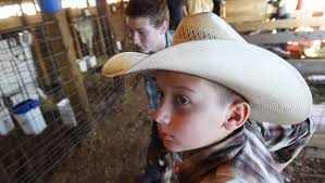 Baxter County Fair livestock