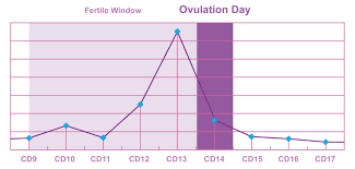 Surges And Peaks Gradual Onset Easy Home Fertility