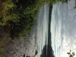 Maybe you would like to learn more about one of these? Largemouth Bass Fishing On Island Pond In Harrison Maine August 16 2014 The Amazing Fish A Metric