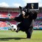 FIFA World Cup 2026 Watch Party