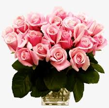 Seeking for free flower vase png images? Pink Roses Transparent Vase Bouquet Gallery Yopriceville Pink Roses Vase Png Transparent Png 487x463 Free Download On Nicepng