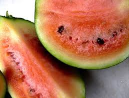 Image result for Citrullus