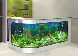 bar idea amazing aquariums, fish tank