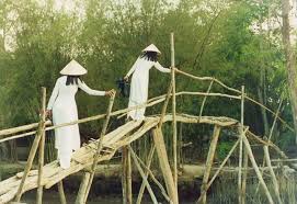 Image result for cầu tre lắc lẻo