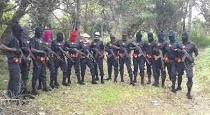 The ipob also shot and killed four moslems doing their business in orlu. Ipob Esn Will Give Fulani Terrorists Hell In Southeast Nnamdi Kanu
