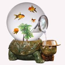 Image result for betta fish tank