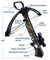 Know when to use this method. Crossbow Hunting Qualification Nys Dept Of Environmental Conservation