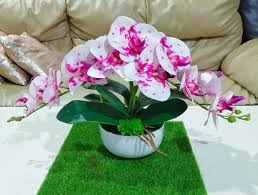 Pegang sudut kanan dan bawah. New Gubahan Orkid Rendah Untuk Meja Kopi Shopee Malaysia