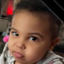 Can you raise chickens for eggs in Shelby, Ohio?