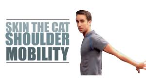 We did not find results for: Skin The Cat Shoulder Mobility How To Get Better Shoulder Extension Youtube