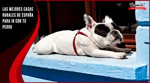 Photos, address, and phone number, opening hours, photos, and user reviews on yandex.maps. 20 De Las Mejores Casas Rurales Para Llevar A Tu Mascota De Espana