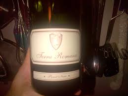 The Unfussy Wine Enthusiasts Halifax Nova Scotia Wine Blog Wine Review 2011 Terra Romana Pinot Noir First Wine Reviews Wine Pinot