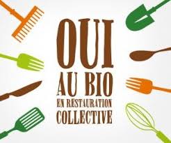 Creation D Une Plaquette Pour Manger Bio 44 C Www Carolineprouvost Fr Graphiste Freelance Graphiste Manger Bio