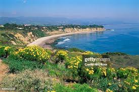 115,896 Ross California Stock Photos, High-Res Pictures, and Images