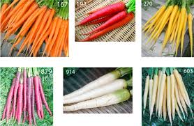 We did not find results for: Consumer Expectations For Vegetables With Typical And Atypical Colors The Case Of Carrots Sciencedirect