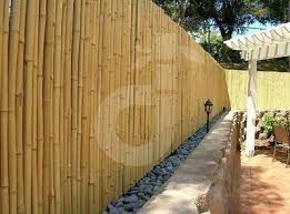 Sichtschutz Aty Nature Bambus Gartenzaun Wind Und Sichtschutzmatte In 13 Grossen Ebay Balkon Sichtschutz Bambus Dekorative Gartenzaune Hinterhof Designs