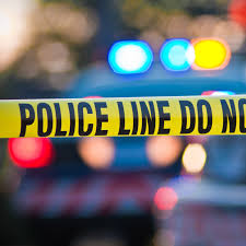 In the aftermath of the killing, anagnostopoulos posted a photo of him and his wife walking along the beach on their wedding day. Husband Admits Killing Wife Drowning Dog As Part Of Murder Cover Up