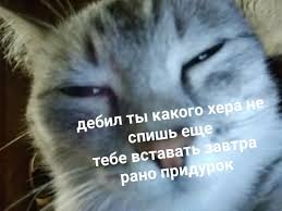 страшно очень страшно мы не знаем что это такое Ideya Ot Polzovatelya Badred20 Na Doske Smeh Da I Tolko Zabavnye Illyuzii Smeshnye Memy Smeshnye Tvity