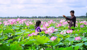 Check spelling or type a new query. 6 Most Attractive Flower Seasons In Vietnam Focus Asia Travel
