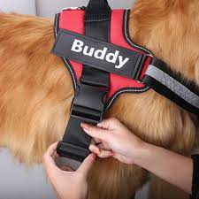 Personalized dog harness with custom name and phone number, patch hook, agility training, working heavy duty vest with removable pet name. Personalized Dog Harness Greenfox